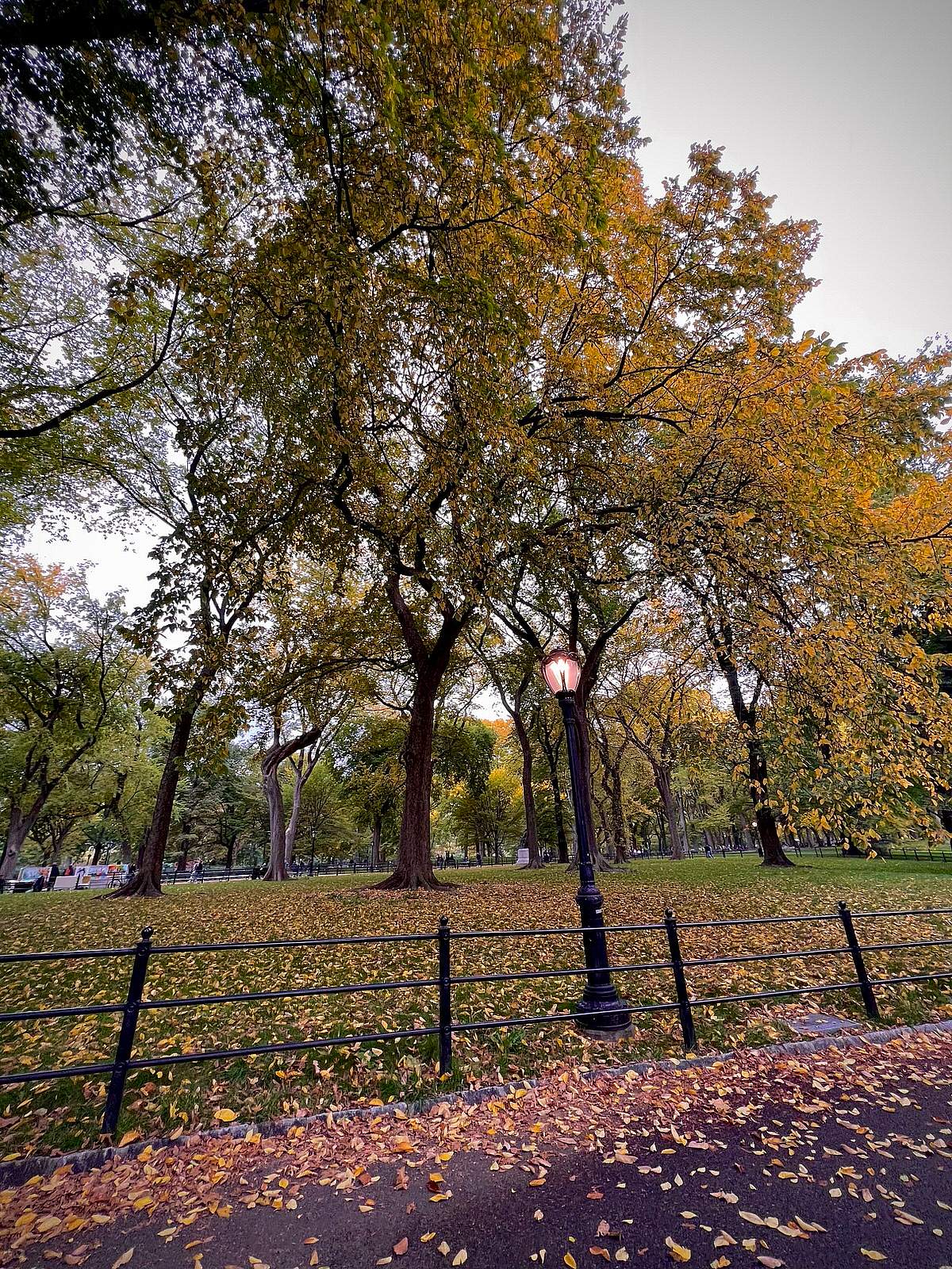 Was sollten Christen tun, wenn ihr Partner untreu ist?