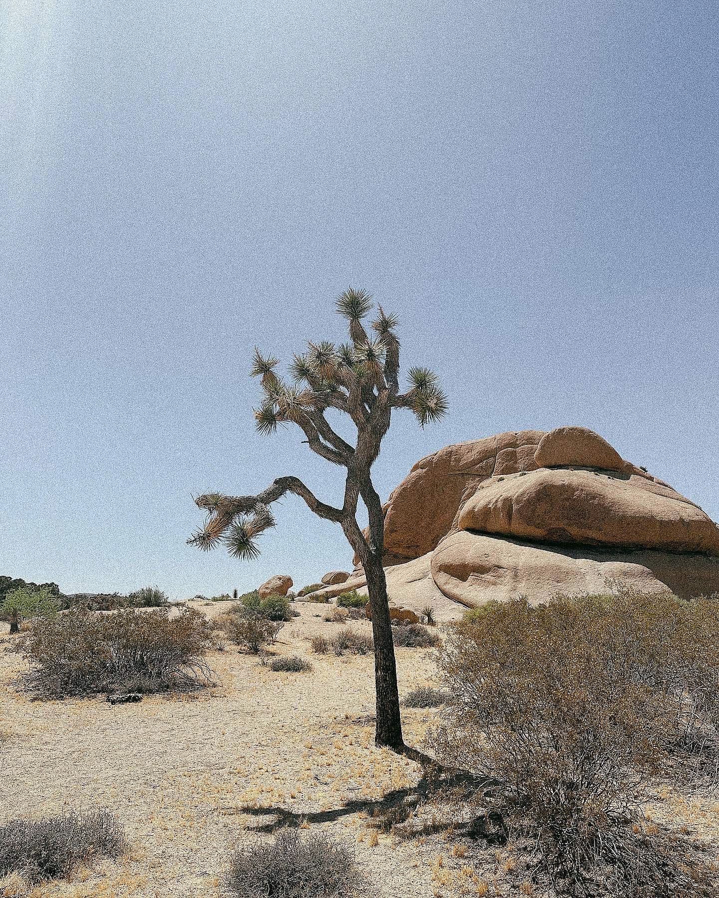 Este greșit pentru creștini să aibă un fetiș?