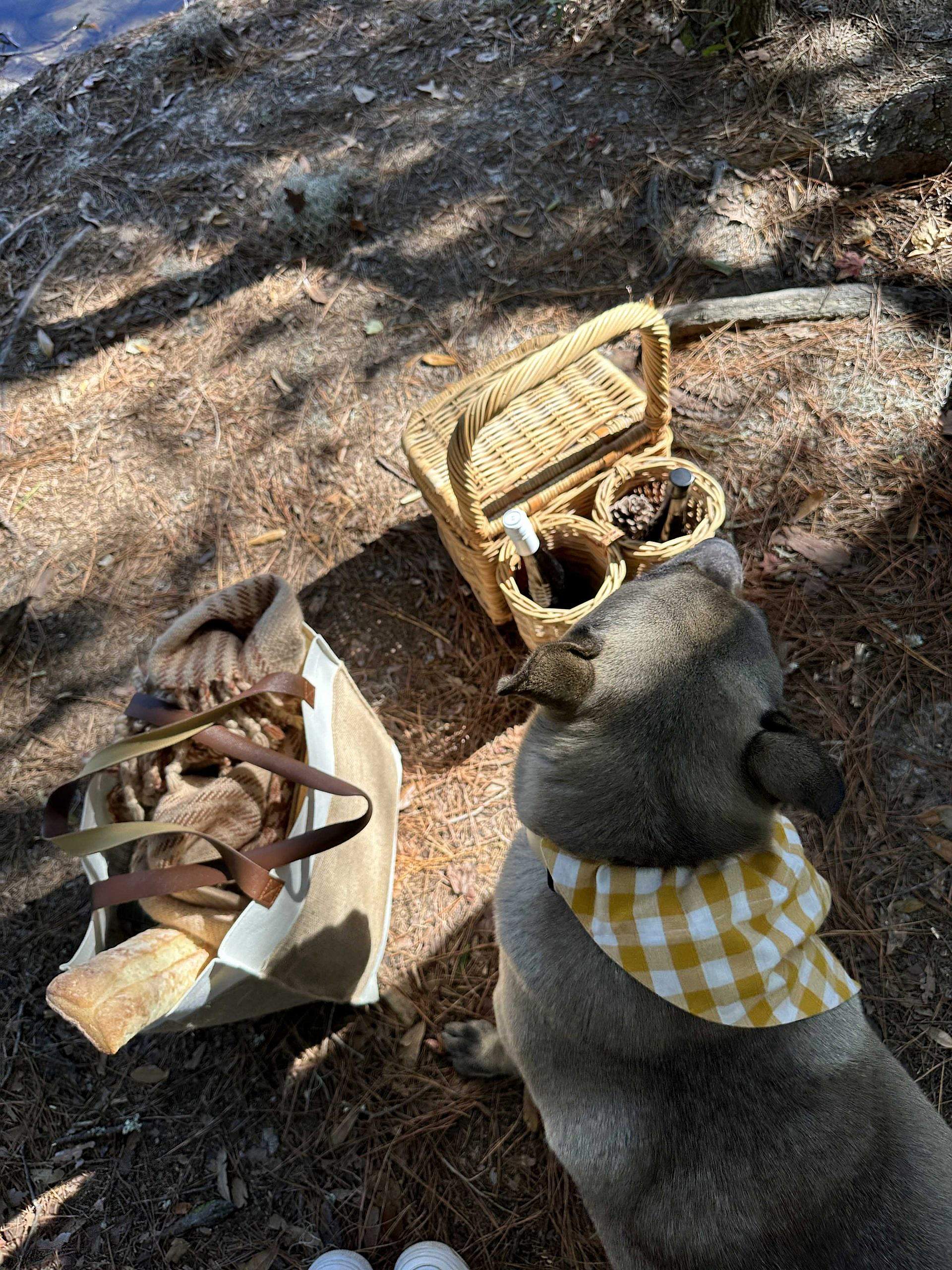 Can Christians date non-Christians?