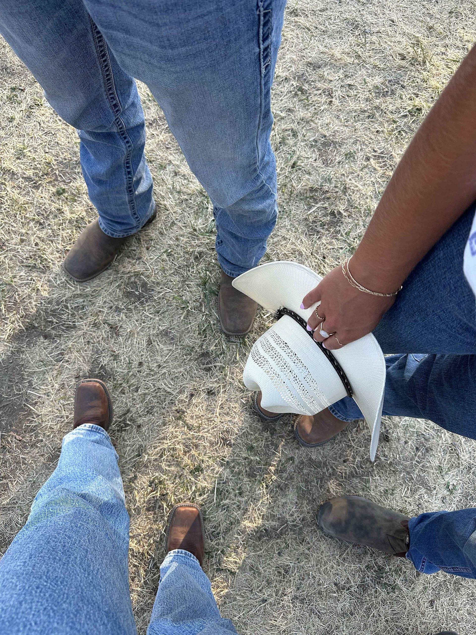 Qual é a diferença entre cortejar e namorar?