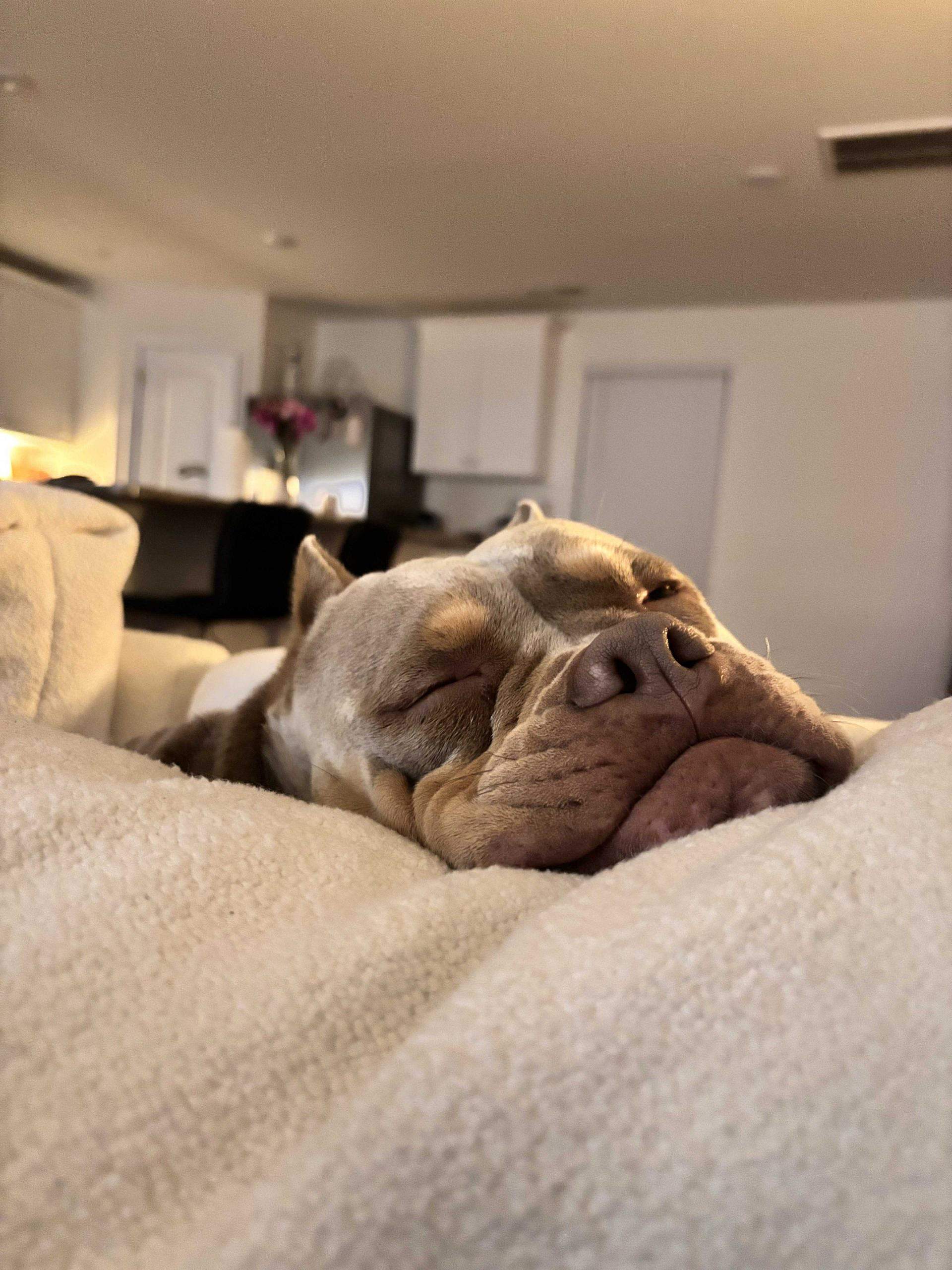 Lucruri pe care le urăsc despre a fi un creștin singur