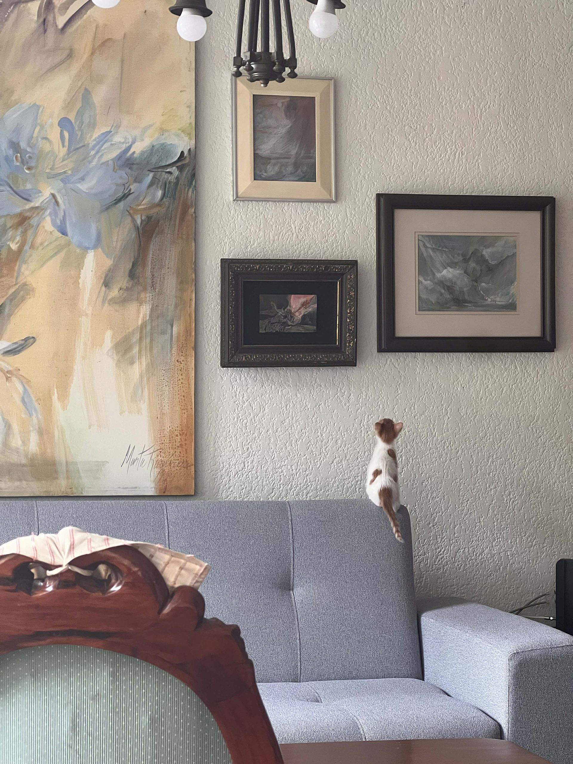 Sollte ich mit jemandem ausgehen, der geschieden ist?