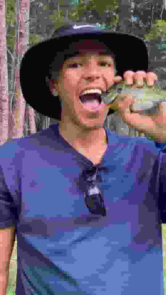SALT user