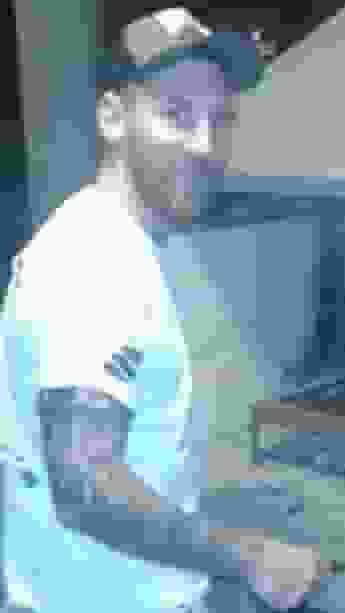 SALT user
