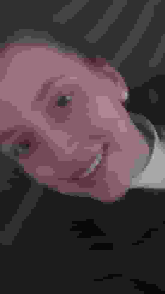 SALT user