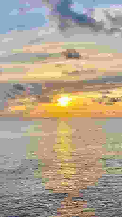 SALT user