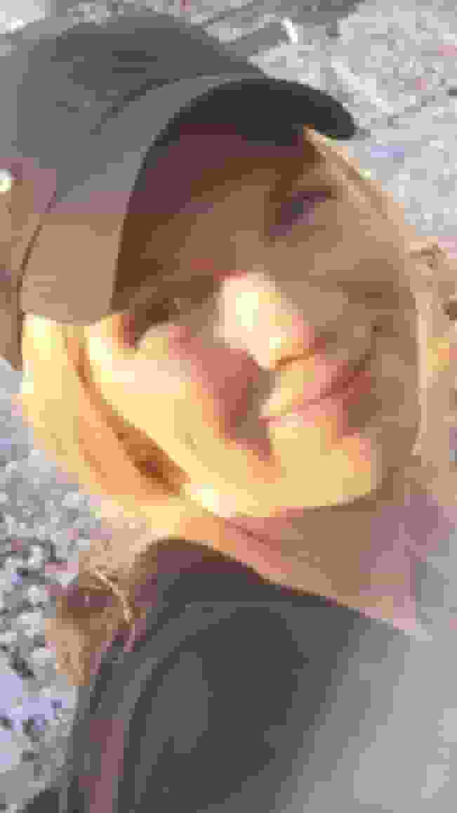 SALT user
