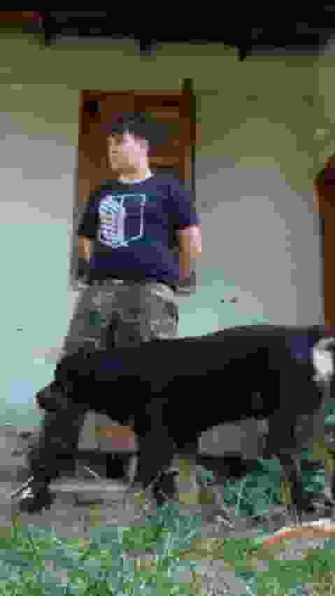 SALT user