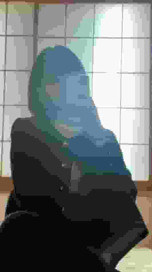SALT user