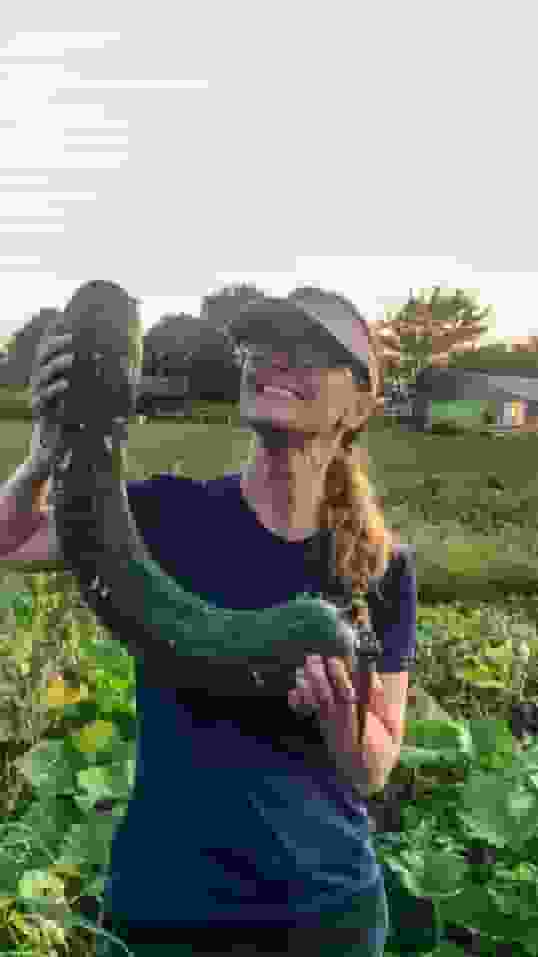 SALT user