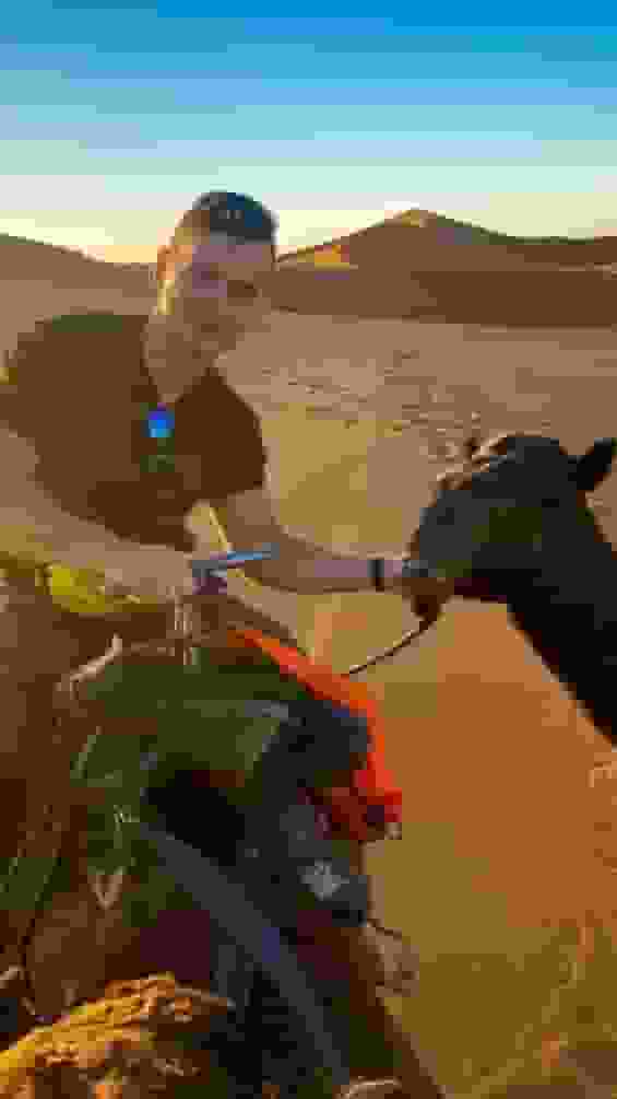 SALT user