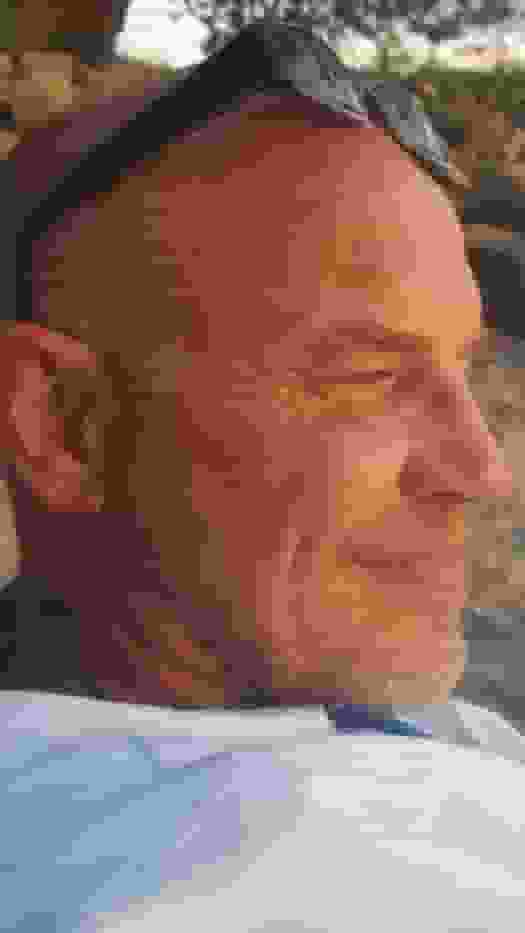 SALT user