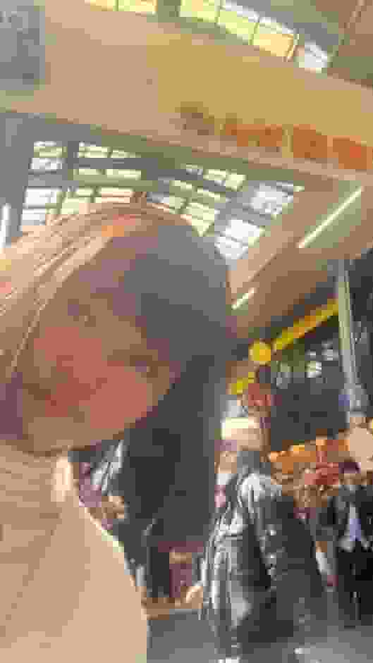 SALT user
