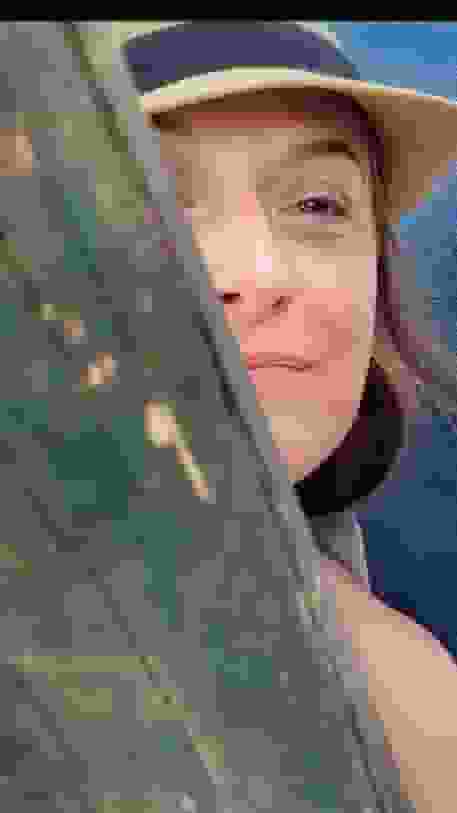 SALT user