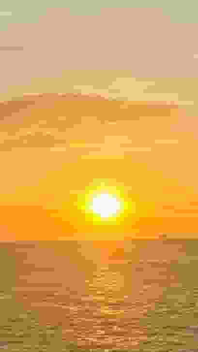 SALT user