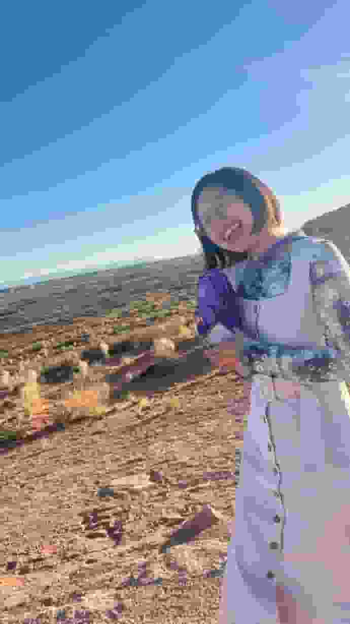 SALT user