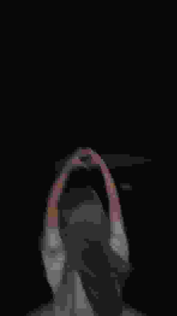 SALT user