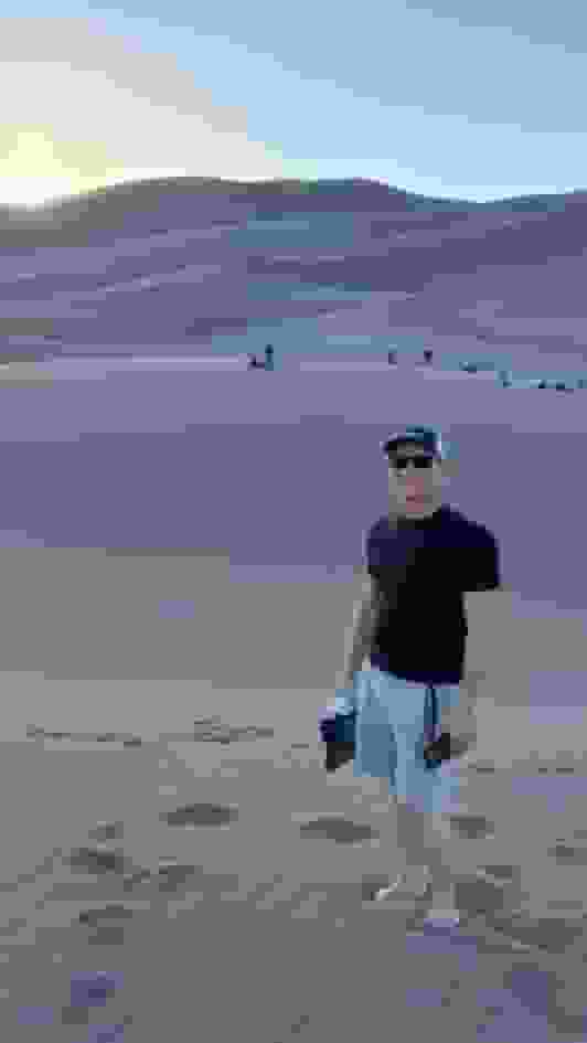 SALT user