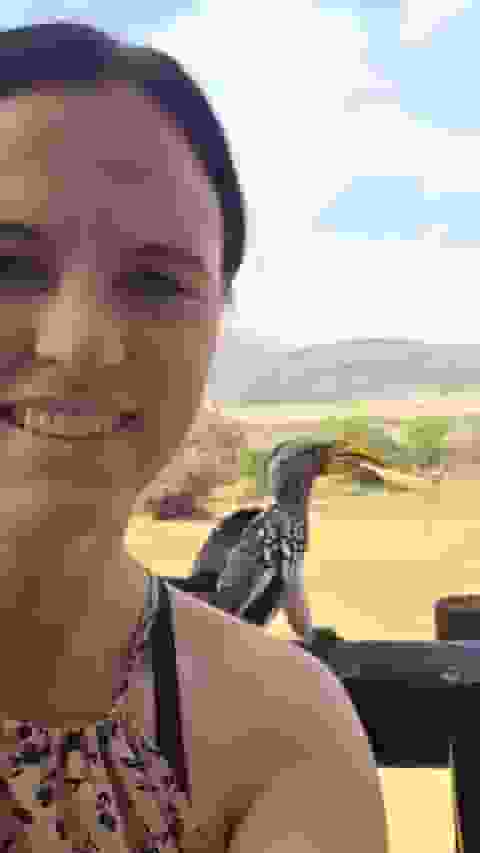 SALT user