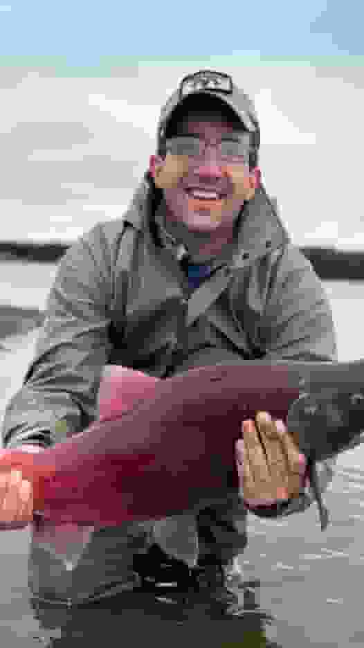 SALT user