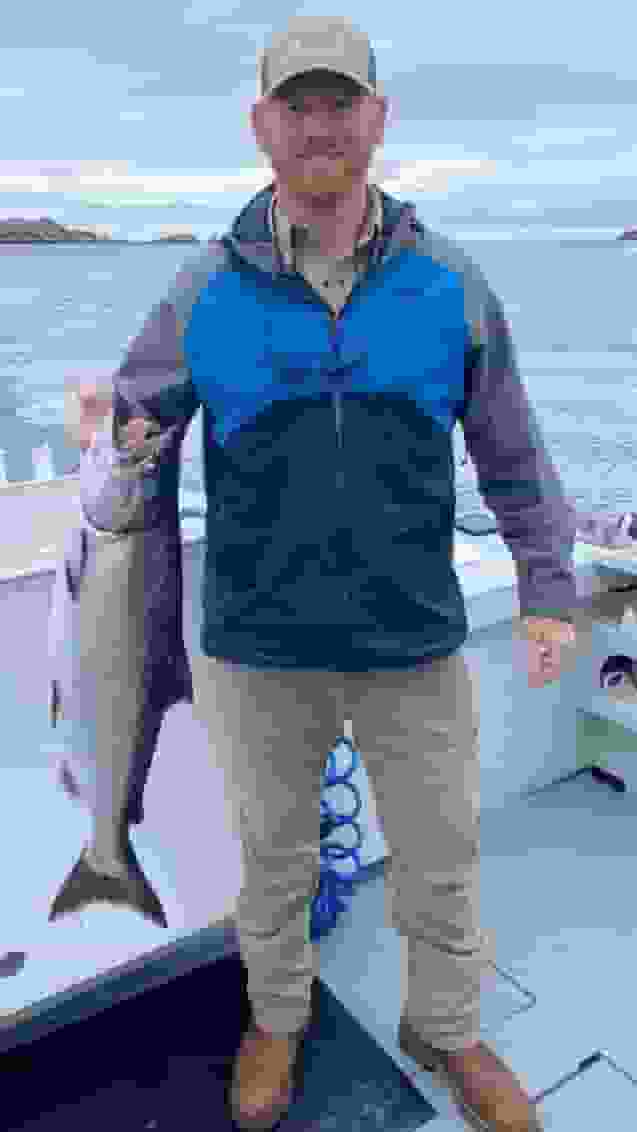 SALT user