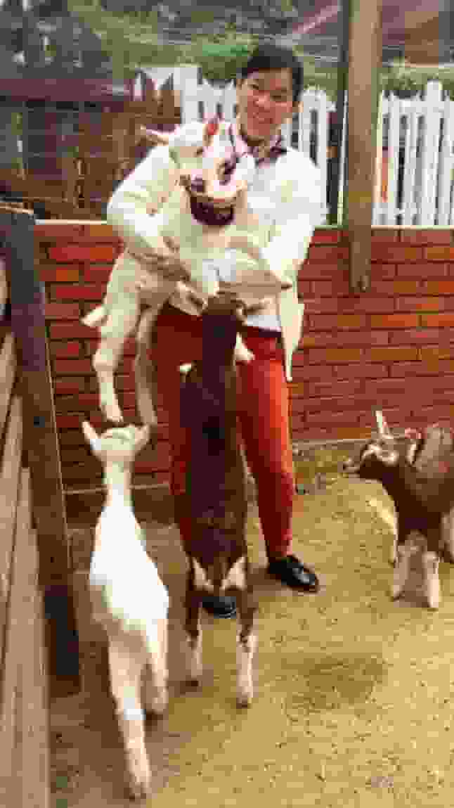 SALT user
