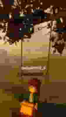 SALT user