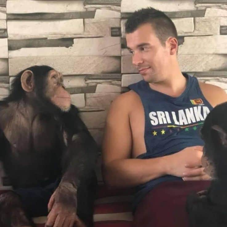 Alberto José's avatar